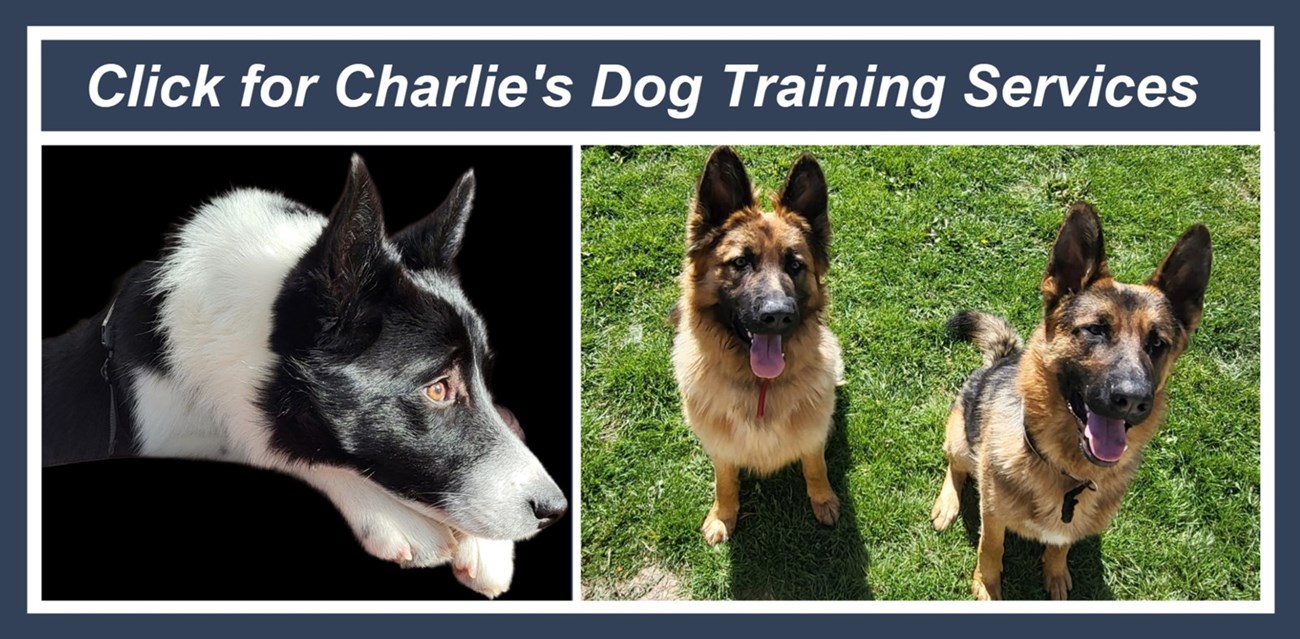 Visit Charlie's own website now