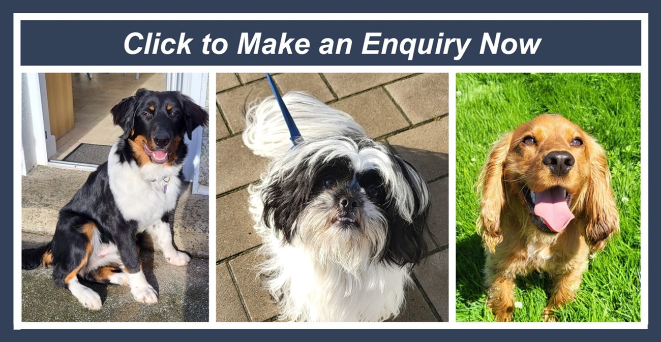 Click to send an inquiry now