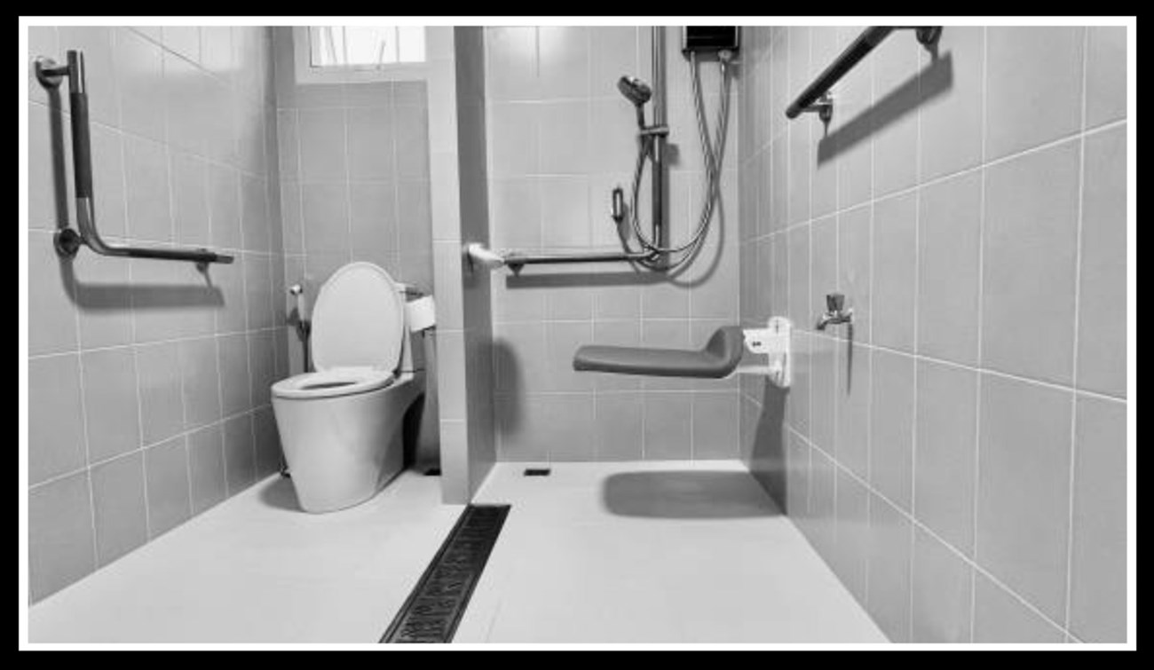 Disability bathroom installations in Bray