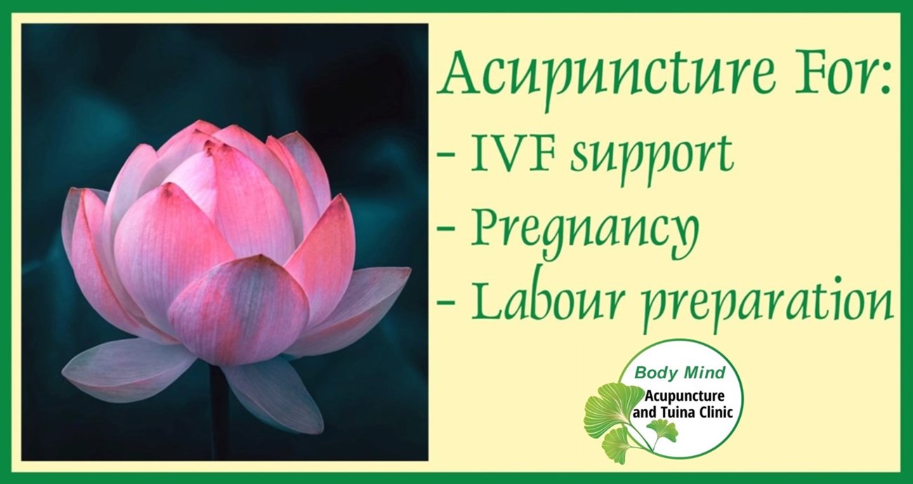Fertility support acupuncture in Ashbourne and Dunshaughlin - Acupuncture Ashbourne