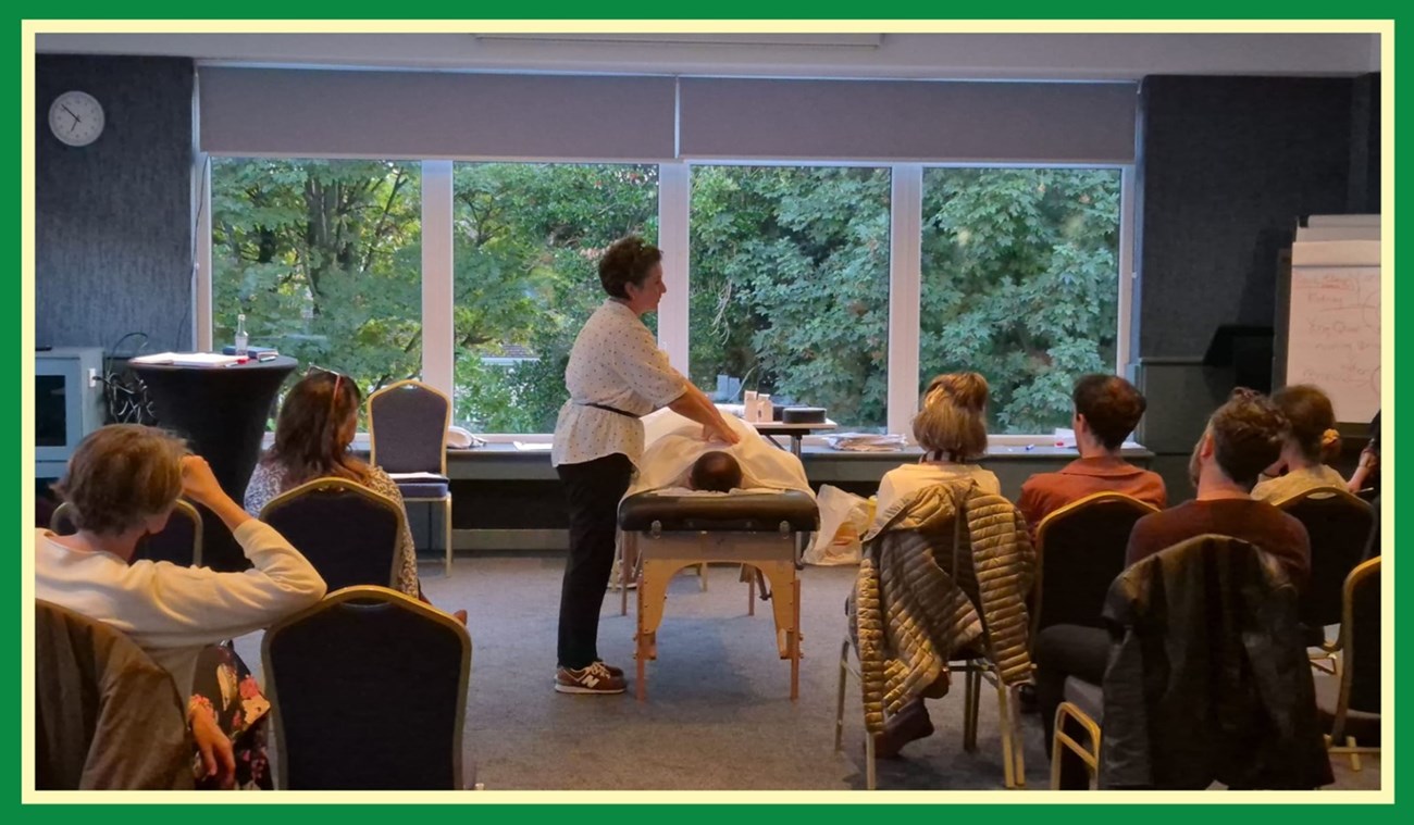 Acupuncture Clinic in Ashbourne and Dunshaughlin