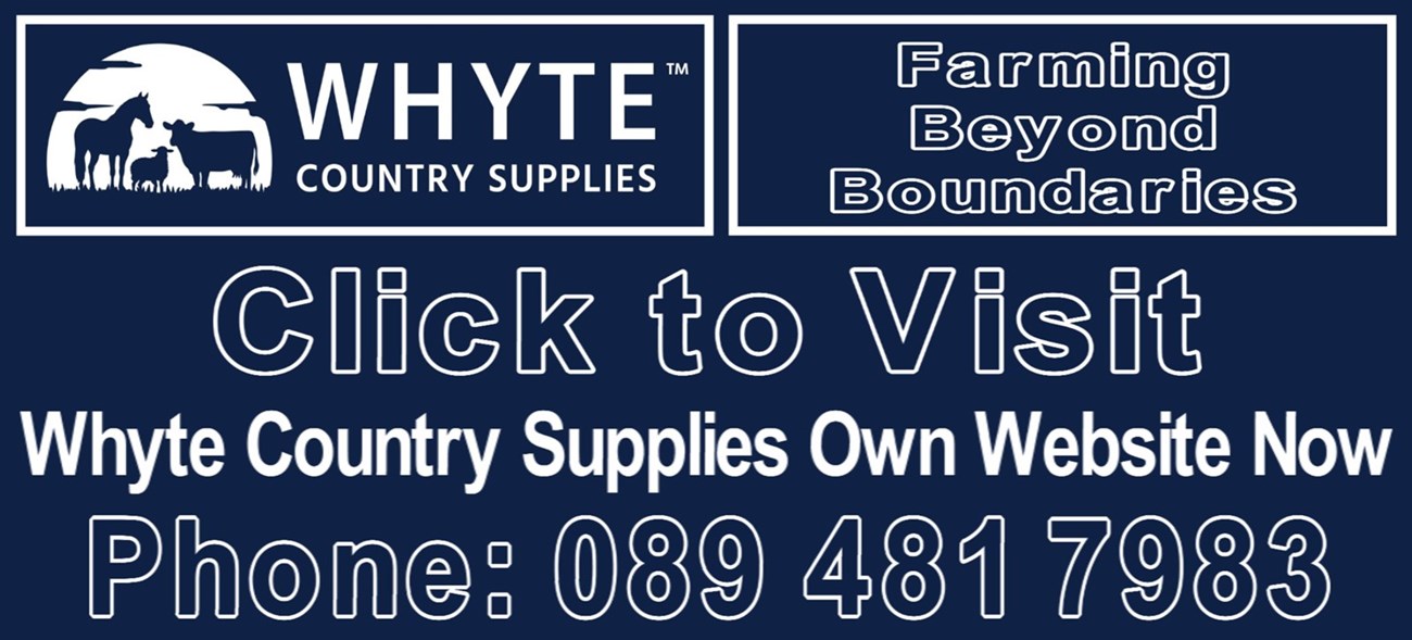Livestock supplements in Ireland - Whyte Country Supplies