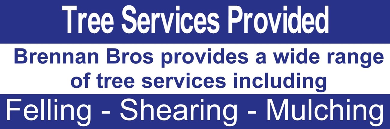 Tree services in Mayo