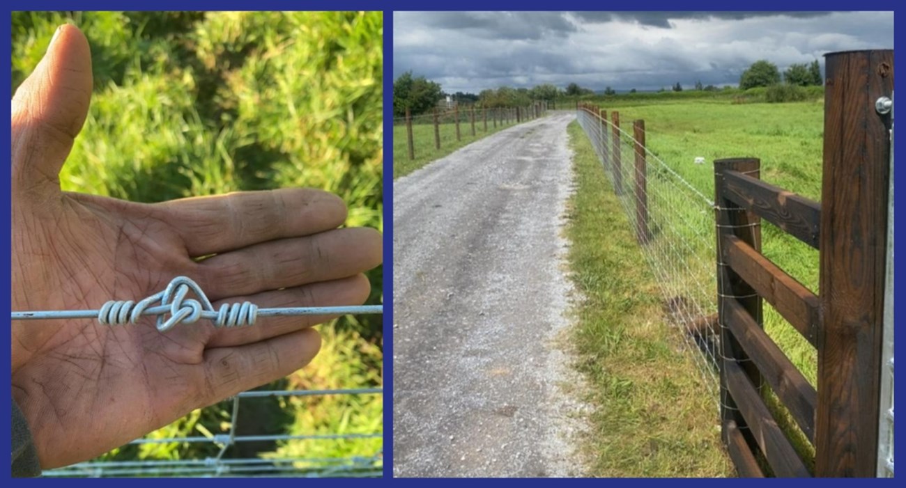 Cattle fencing services in Mayo