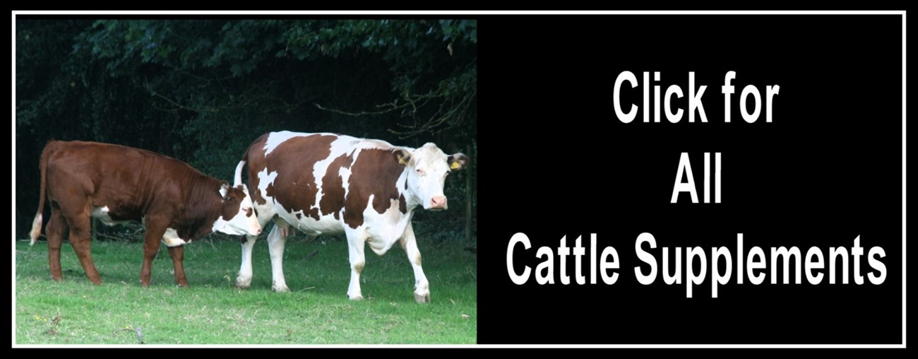 Click for Cattle Supplements