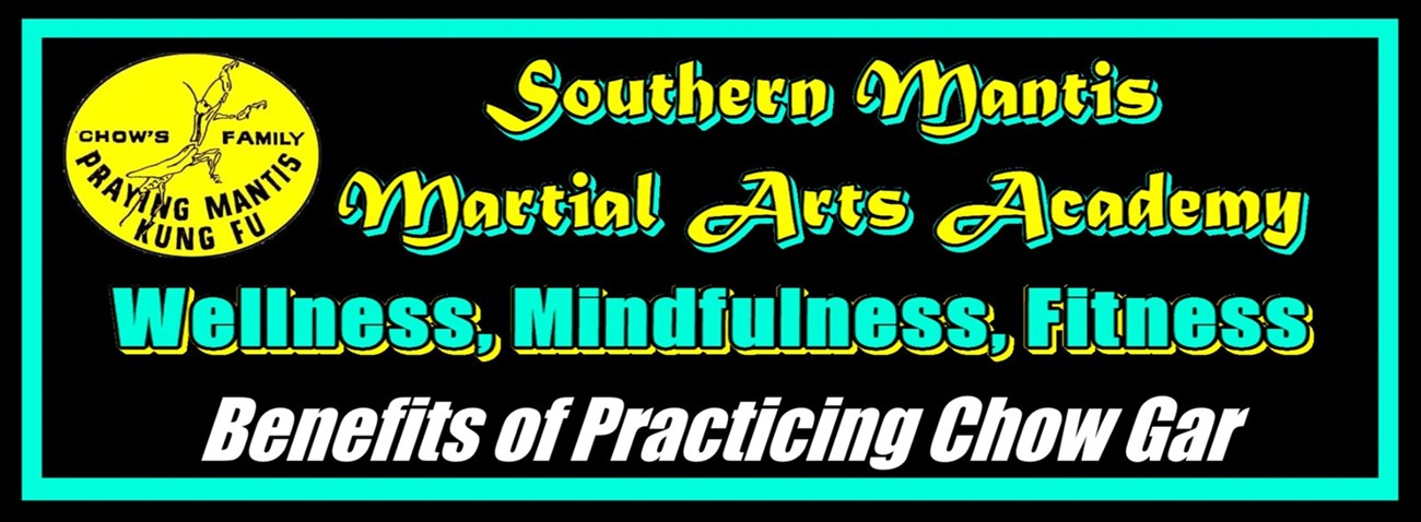 Chow Gar Classes Galway