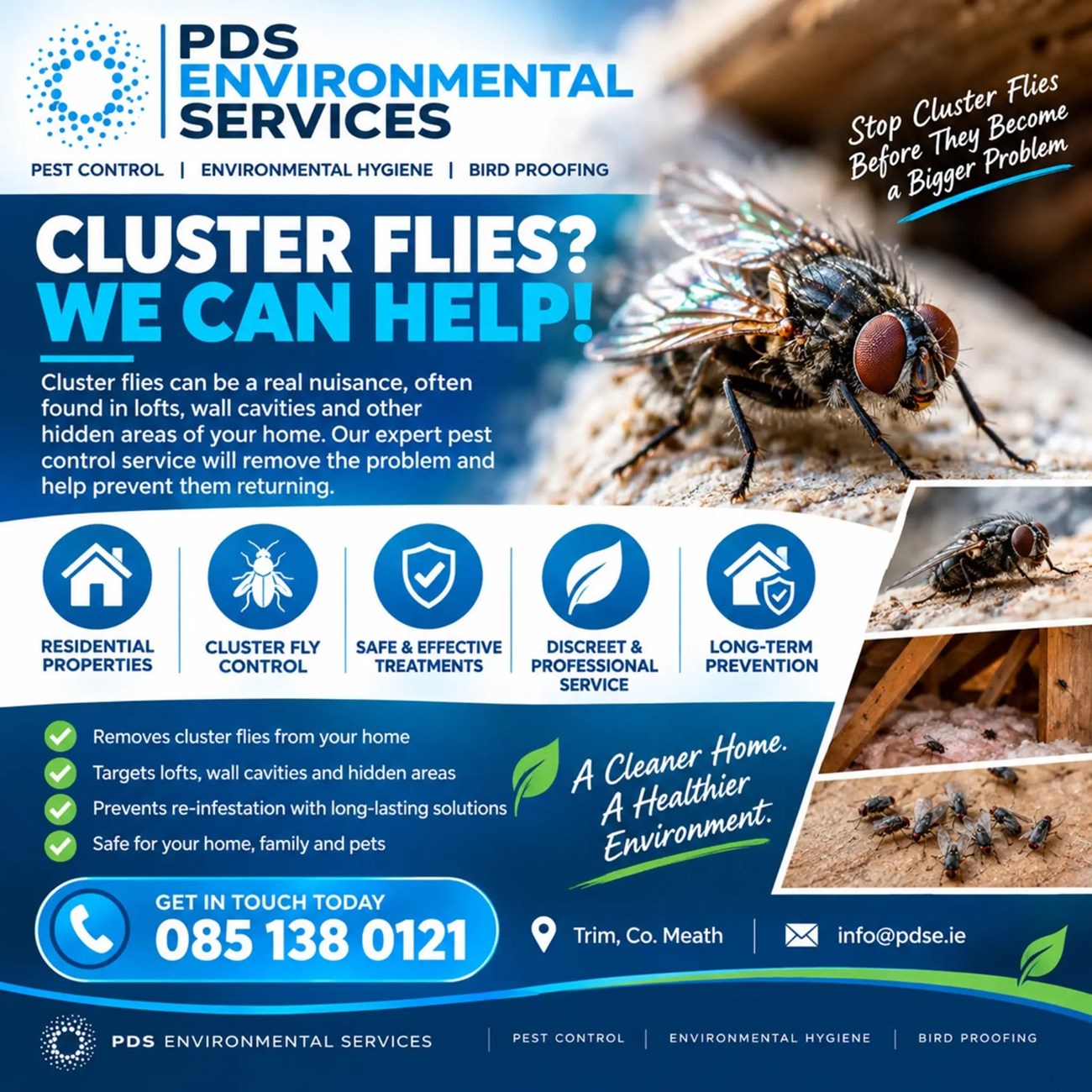 Cluster fly removal in Castleknock and Clonsilla