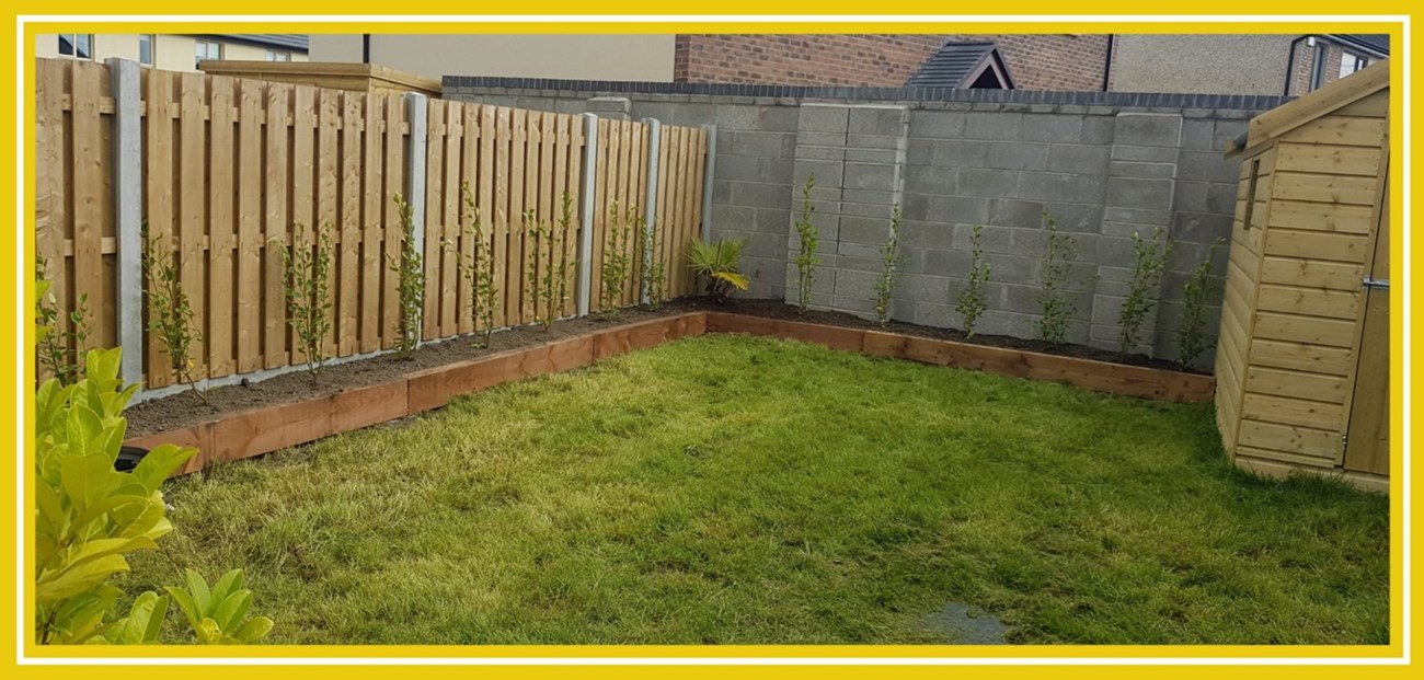 Complete garden clearances in Rathmines