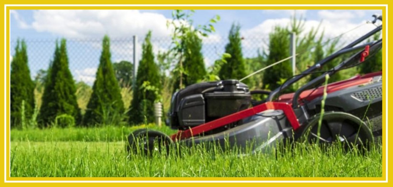 Garden clearance services in Rathmines