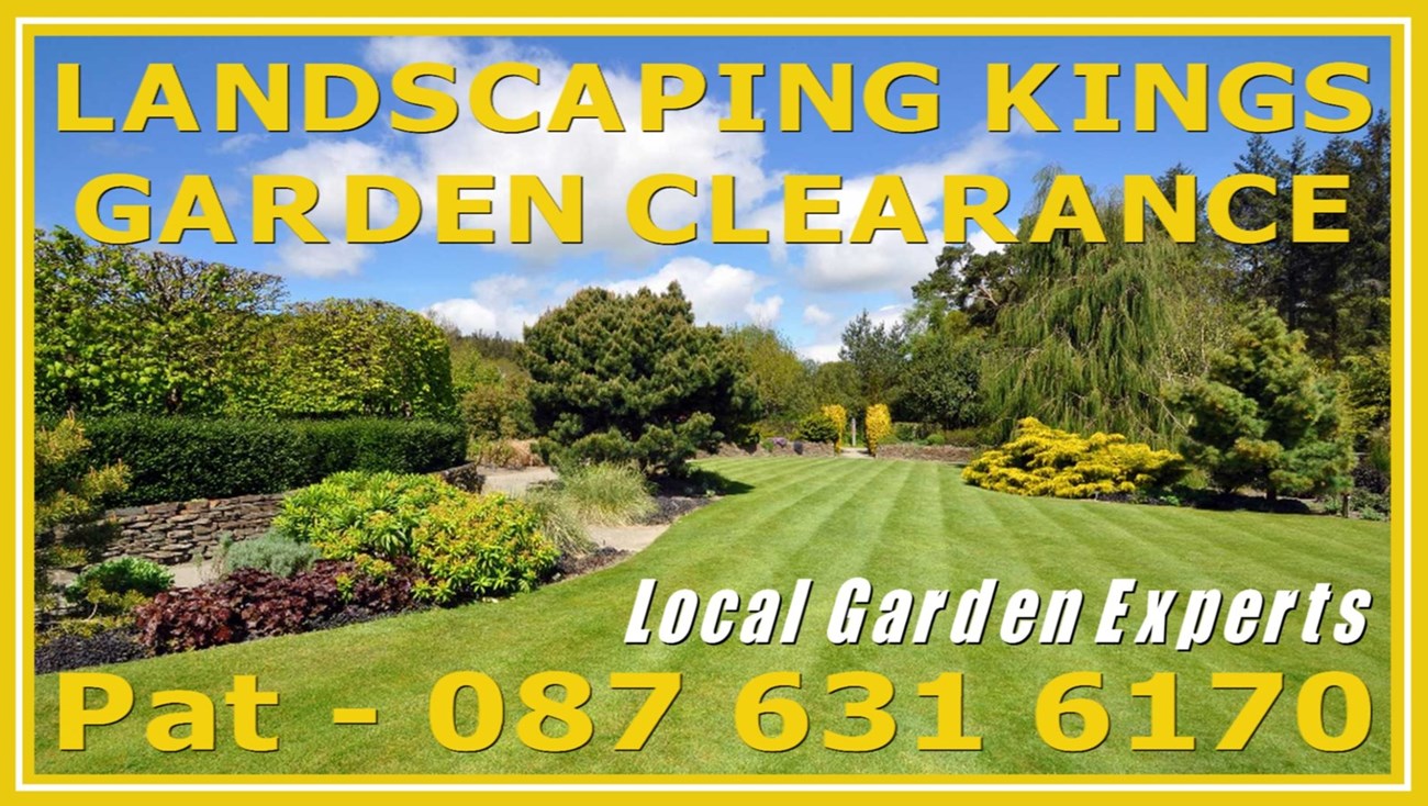 Garden clearances in Rathmines