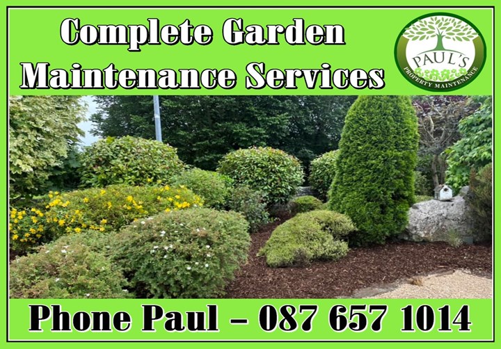 Garden maintenance in Limerick - carried out by Limerick Landscaping - header