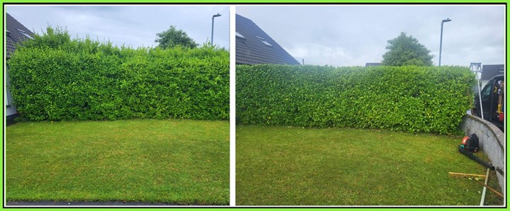 Garden maintenance in Limerick is carried out by Limerick Landscaping