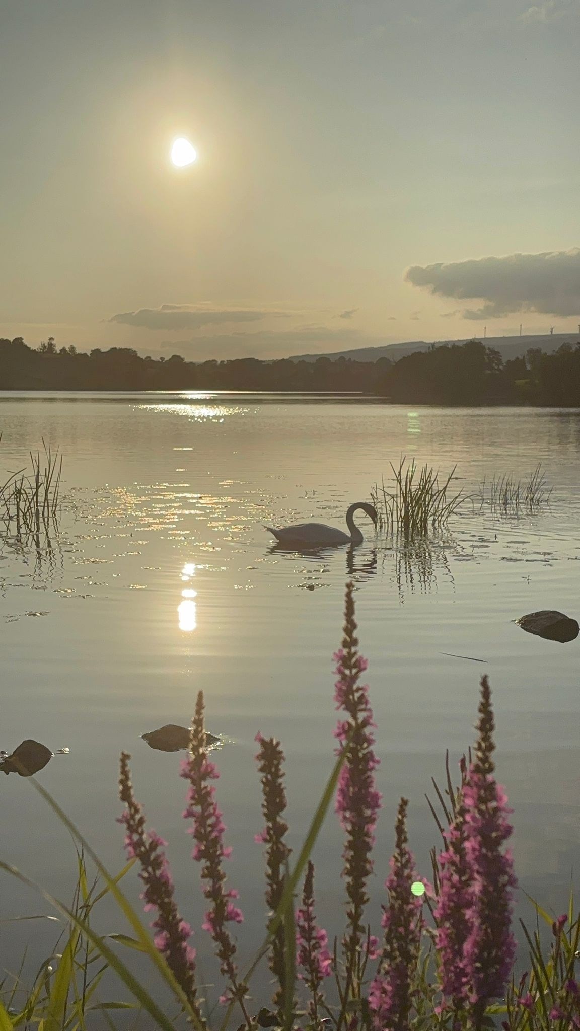 Glamping Cavan