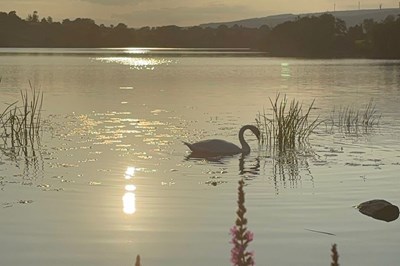 Glamping Cavan