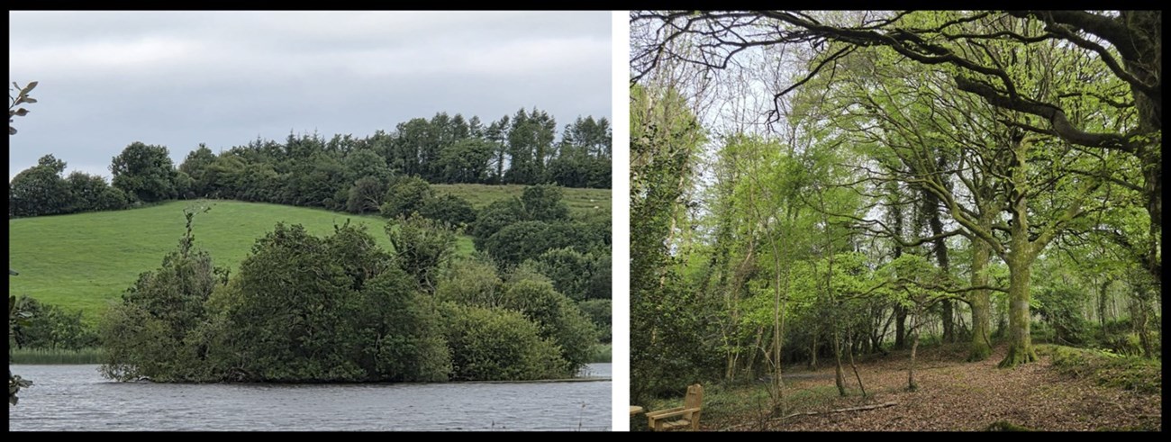 Scenery at Swan Lake Glamping