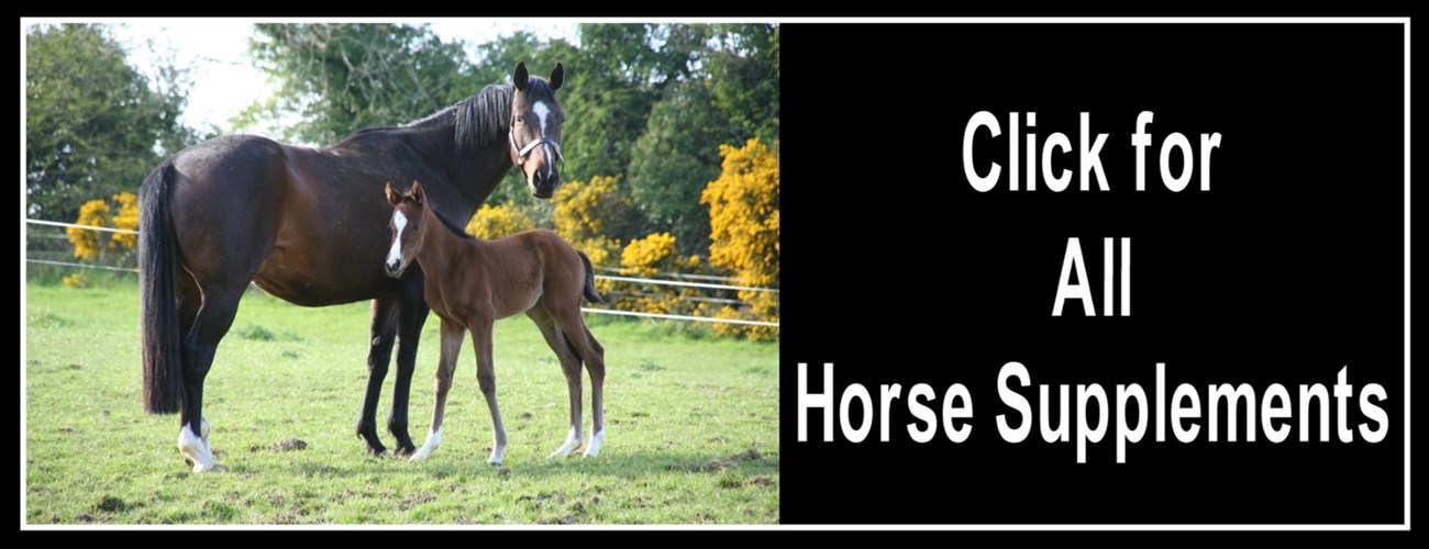 Click for Equine Supplements
