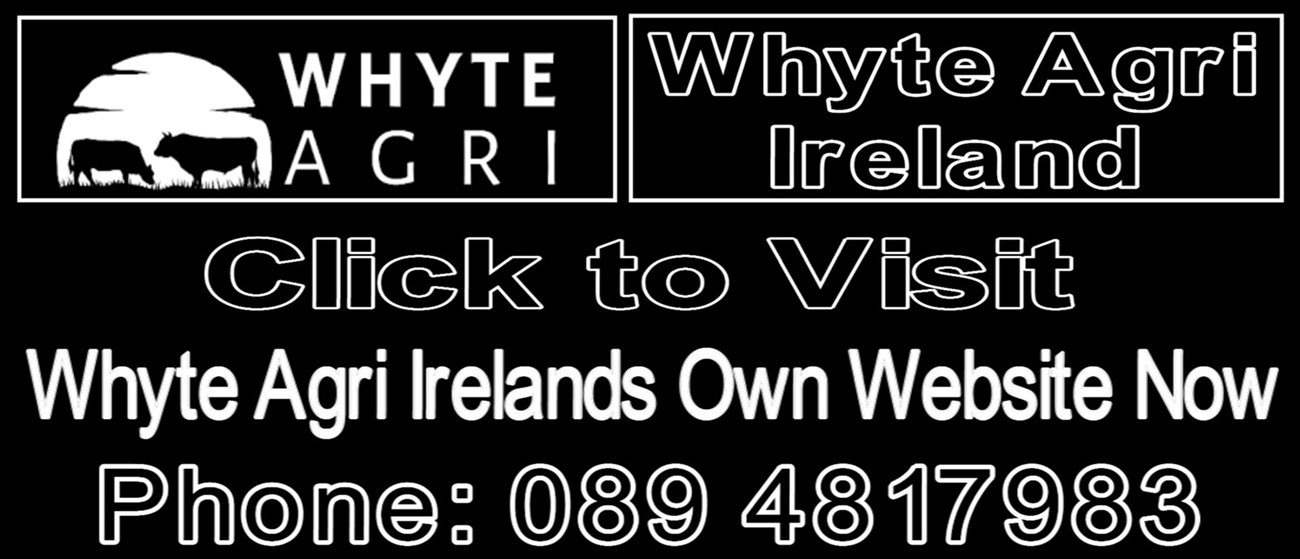Livestock supplements in Ireland - Whyte Agri