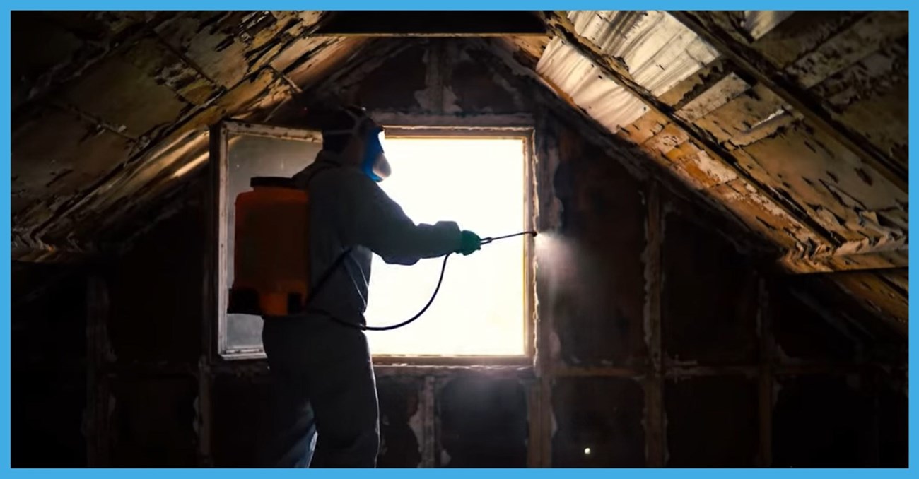 Mouse and rat control in Castleknock and Clonsilla - PDSE Pest Control