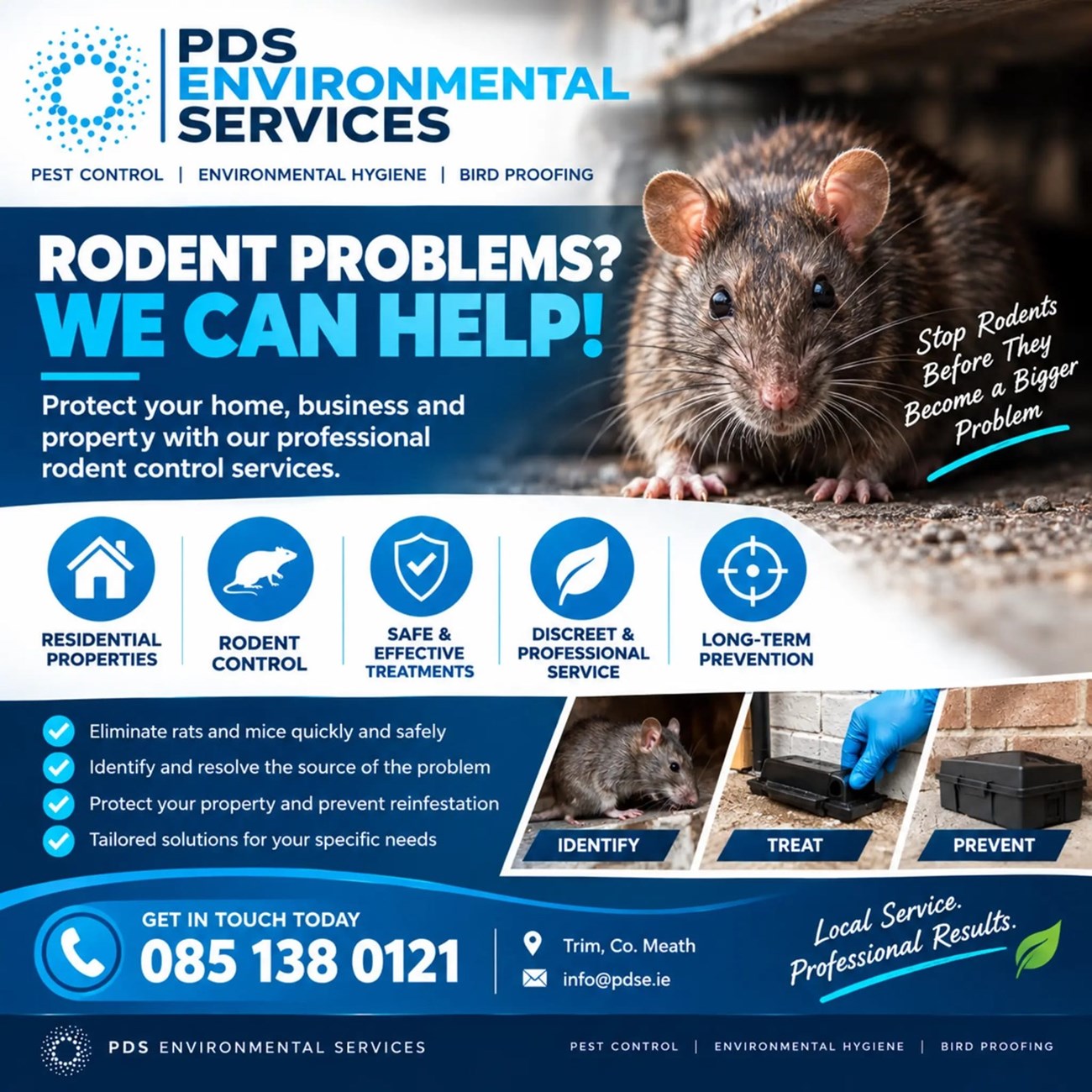 Rat and mouse removal in Navan