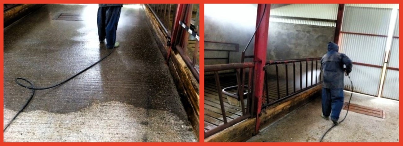 Exterior cleaning in Loughrea, Ballinasloe, and Athenry
