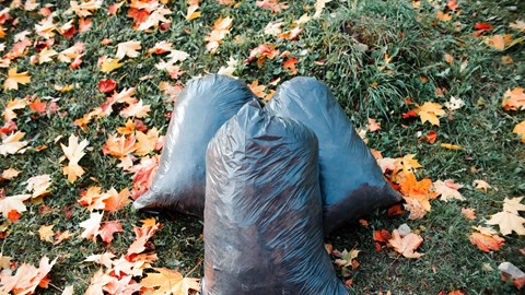 Rubbish Removals in Sandyford and Dundrum -