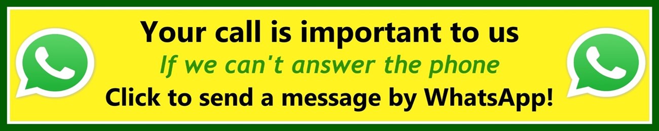 Click to send WhatsApp enquiring on tree removal in Meath