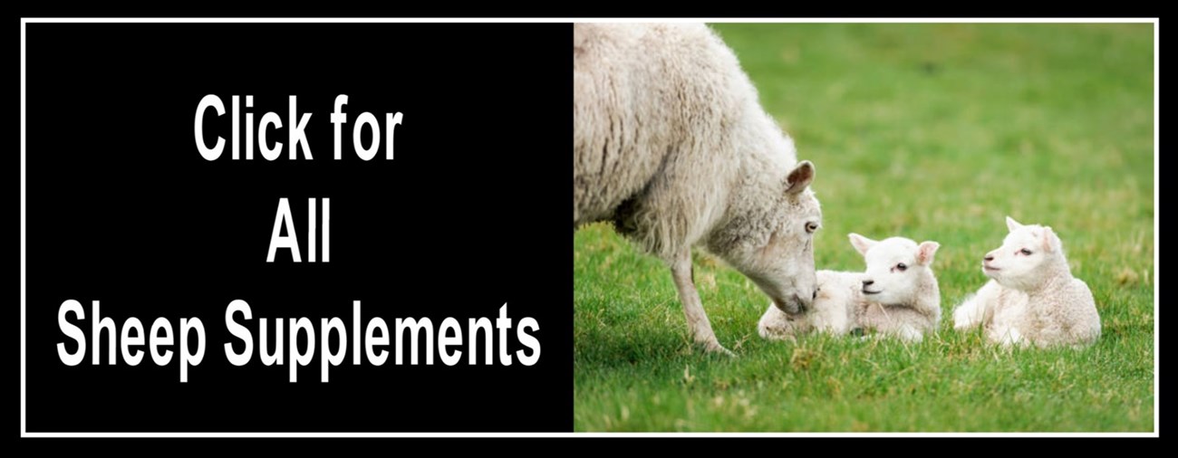 Click for Sheep Supplements