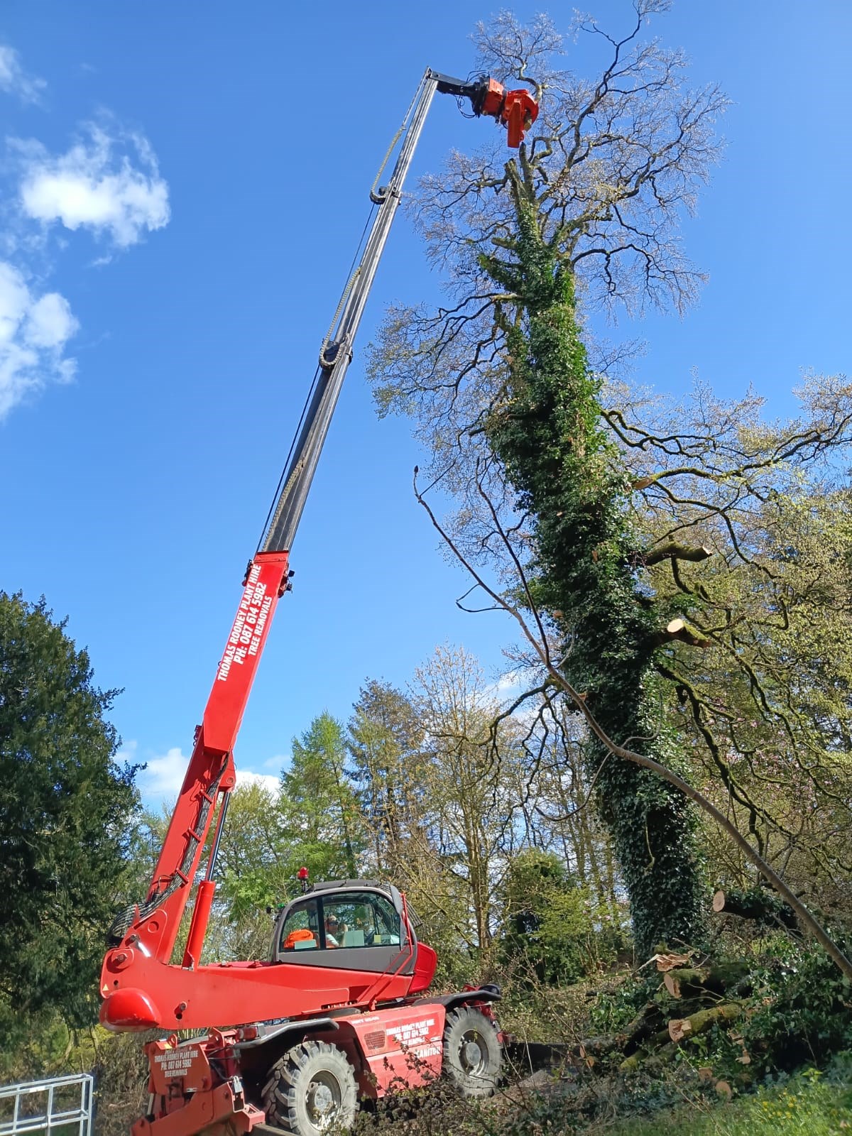 High Tree Services Meath