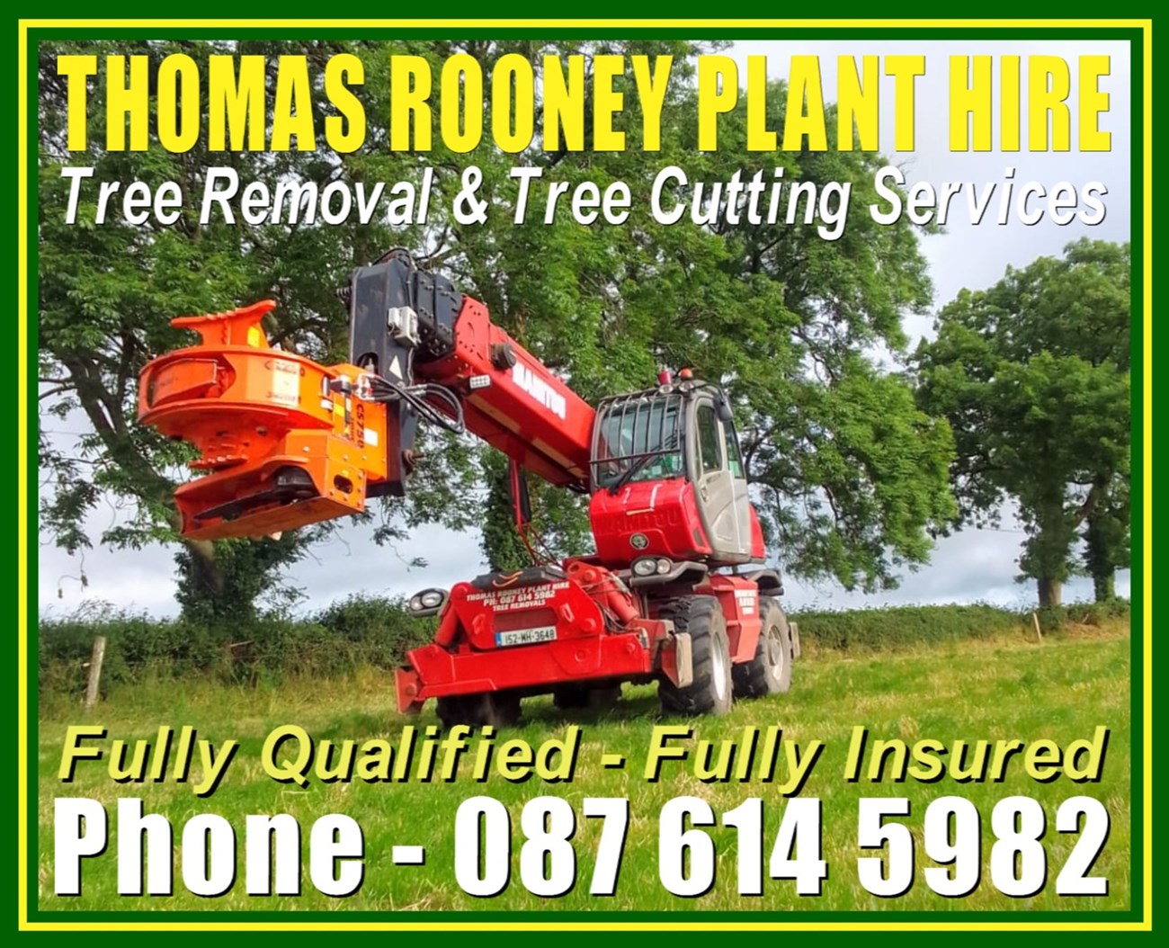 Tree removal services in Meath