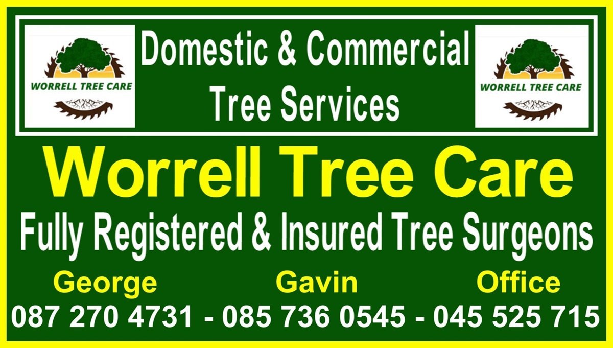 Tree surgery services in Naas, Prosperous, and Clane