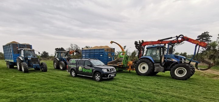 Tree surgeon services in Naas, Prosperous, and Clane by Worrell Tree Care