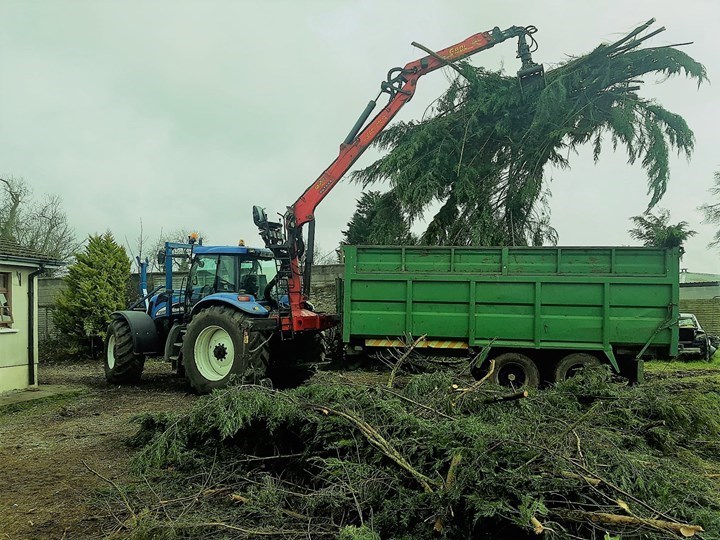 Tree clearance in Naas, Prosperous, and Clane carried out by Worrell Tree Care