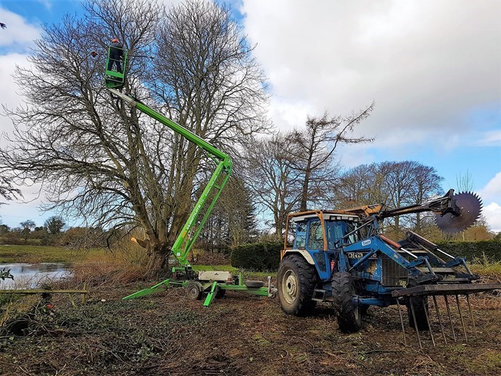 Tree surgery in Naas, Prosperous, and Clane carried out by Worrell Tree Care