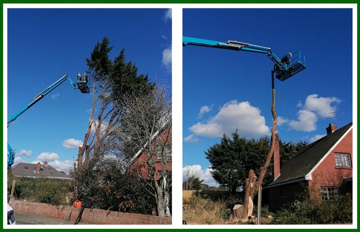 Tree surgery in Swords and Balbriggan - provided by North Dublin Tree Care