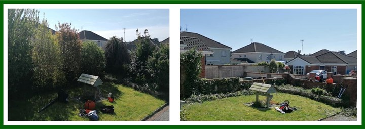 Hedge pruning in Swords and Balbriggan - provided by North Dublin Tree Care