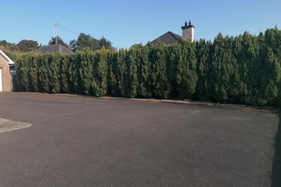 Tree Surgeon Swords - Balbriggan