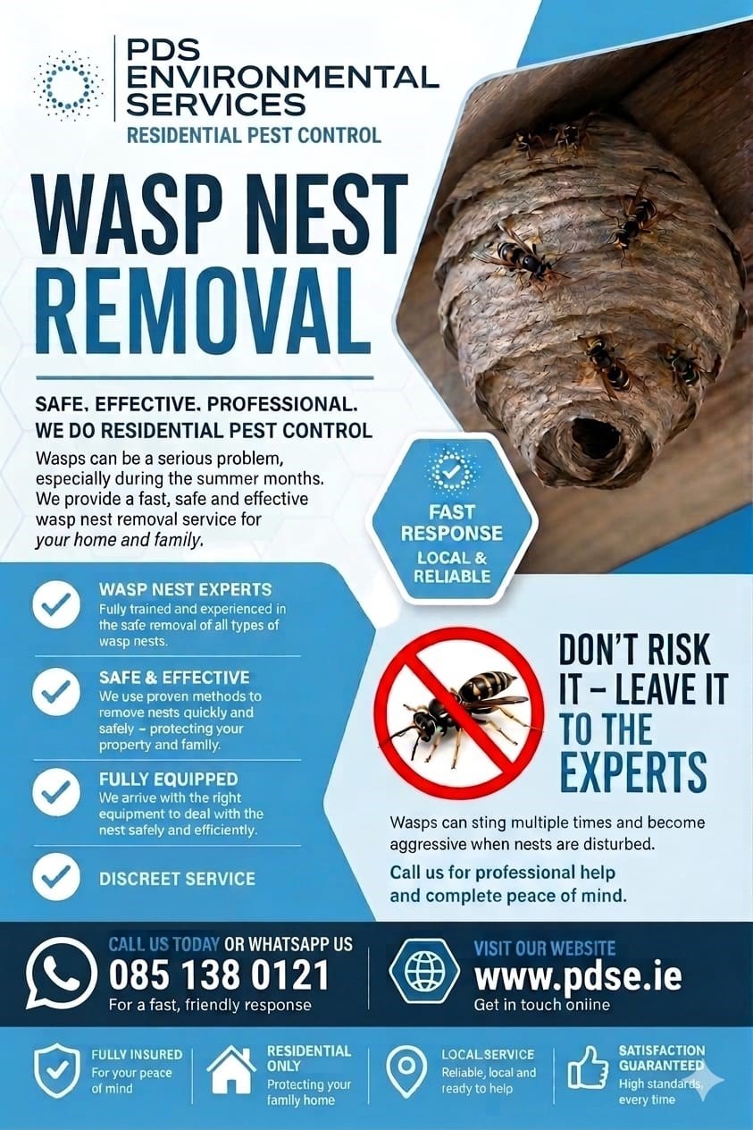 Wasp nest removal in Navan