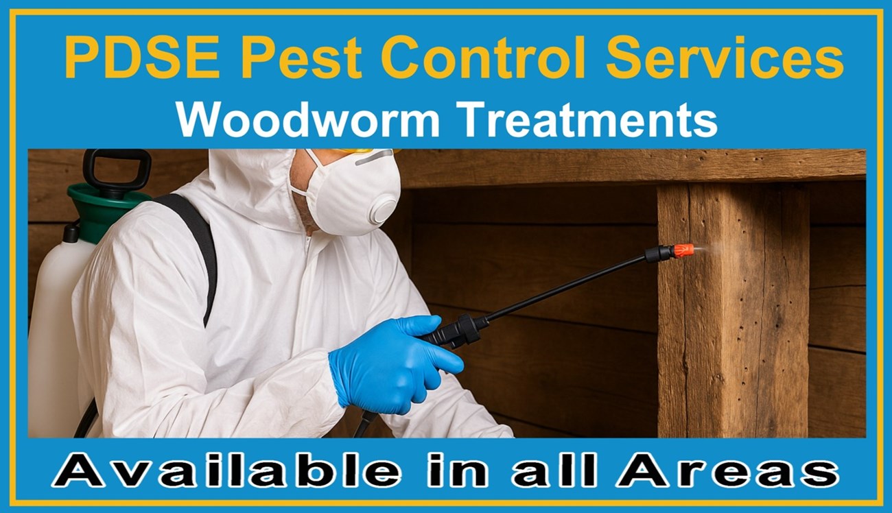 Woodworm treatment services - PDSE Pest Control